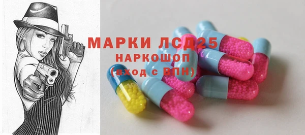 PSILOCYBIN Алзамай