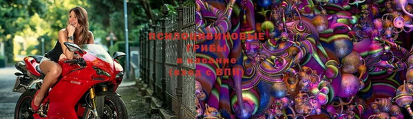 PSILOCYBIN Алзамай