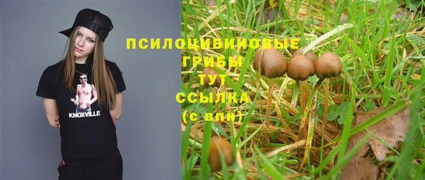 PSILOCYBIN Алзамай