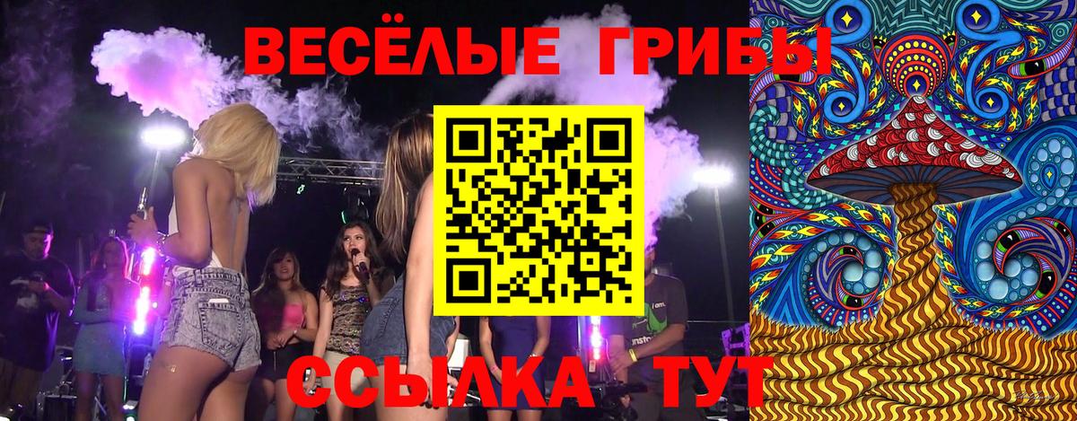 наркошоп  Псилоцибиновые грибы MAGIC MUSHROOMS  Вход с VPN  Сатка 